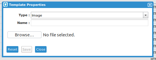 Template Properties Page for Image